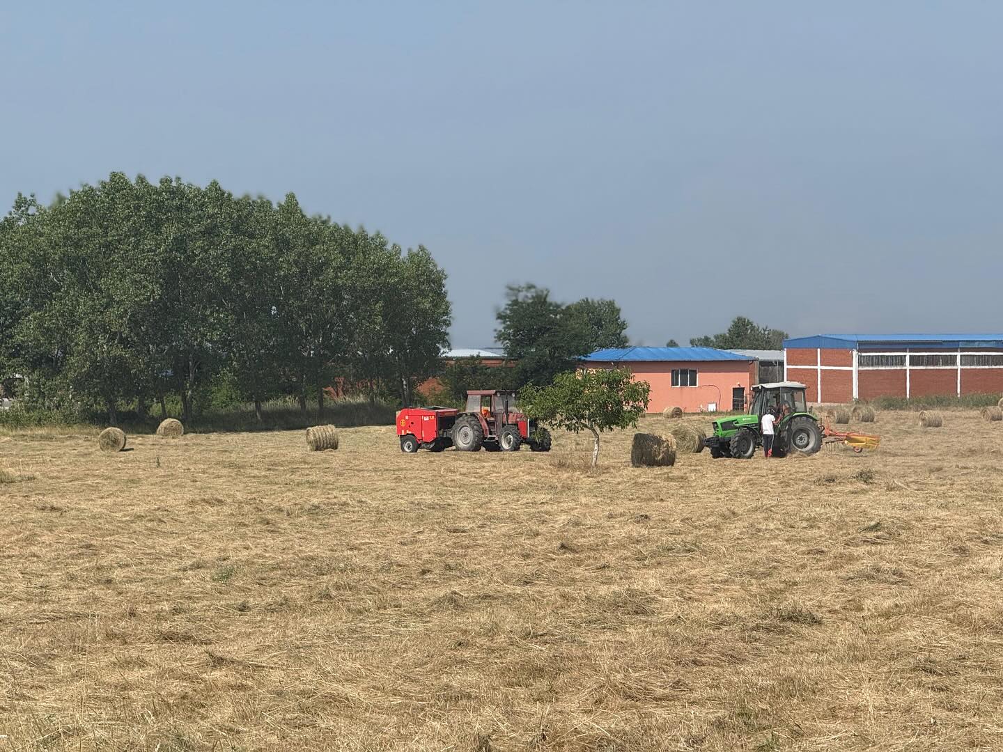 Zatvorenici u Kazneno-popravnom centru Dubrava kosili su i sakupljali travu za potrebe štale centra