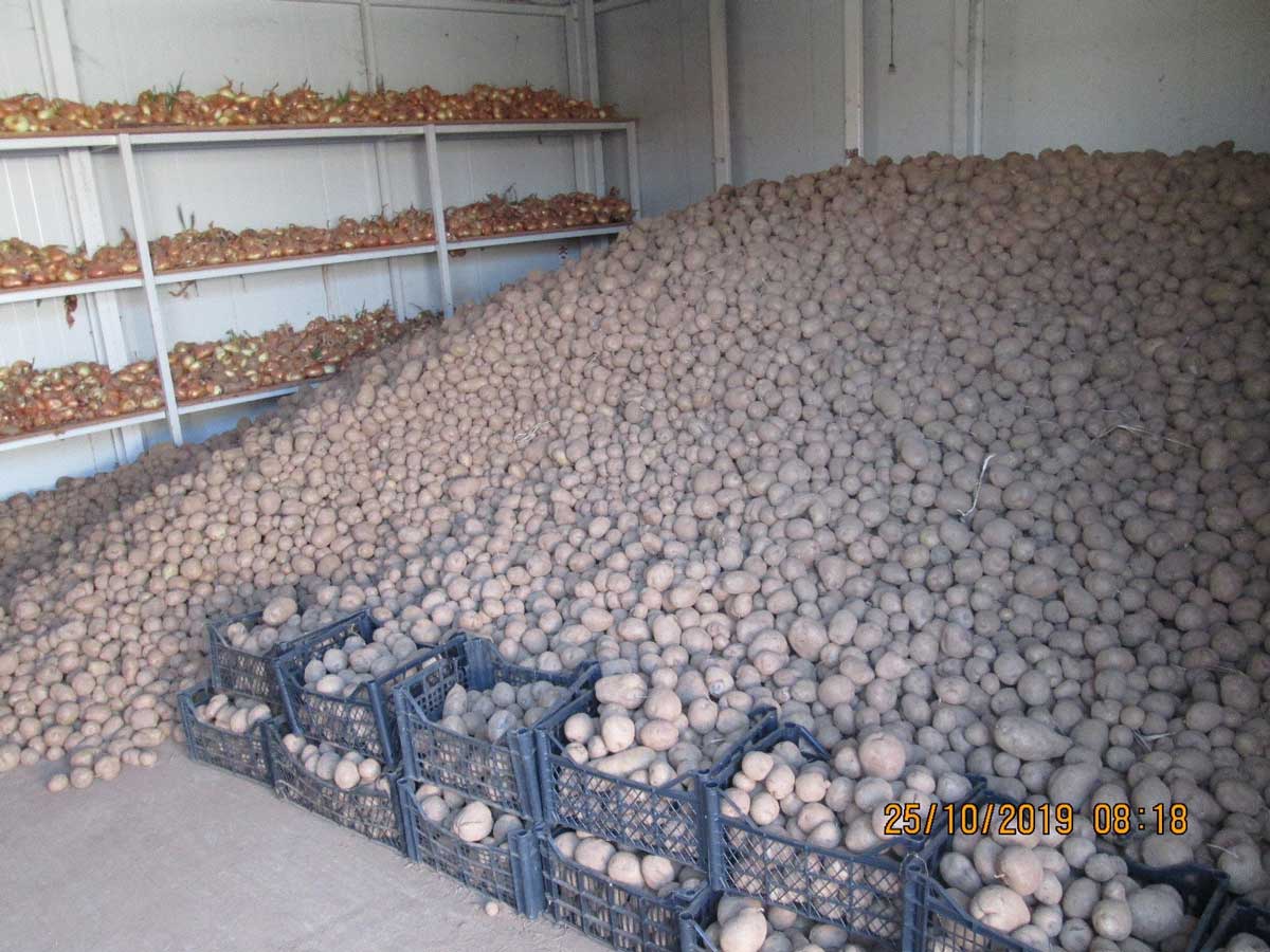 Q.K. Smrekonicë: nxjerrë 25000 kg rendimente patate